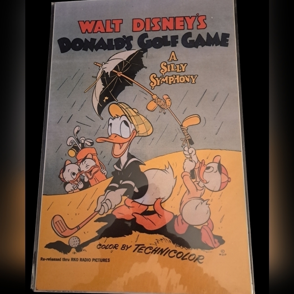 Donald Duck Picture